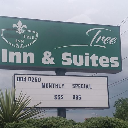 Tree Inn & Suites 앨버커키 외부 사진