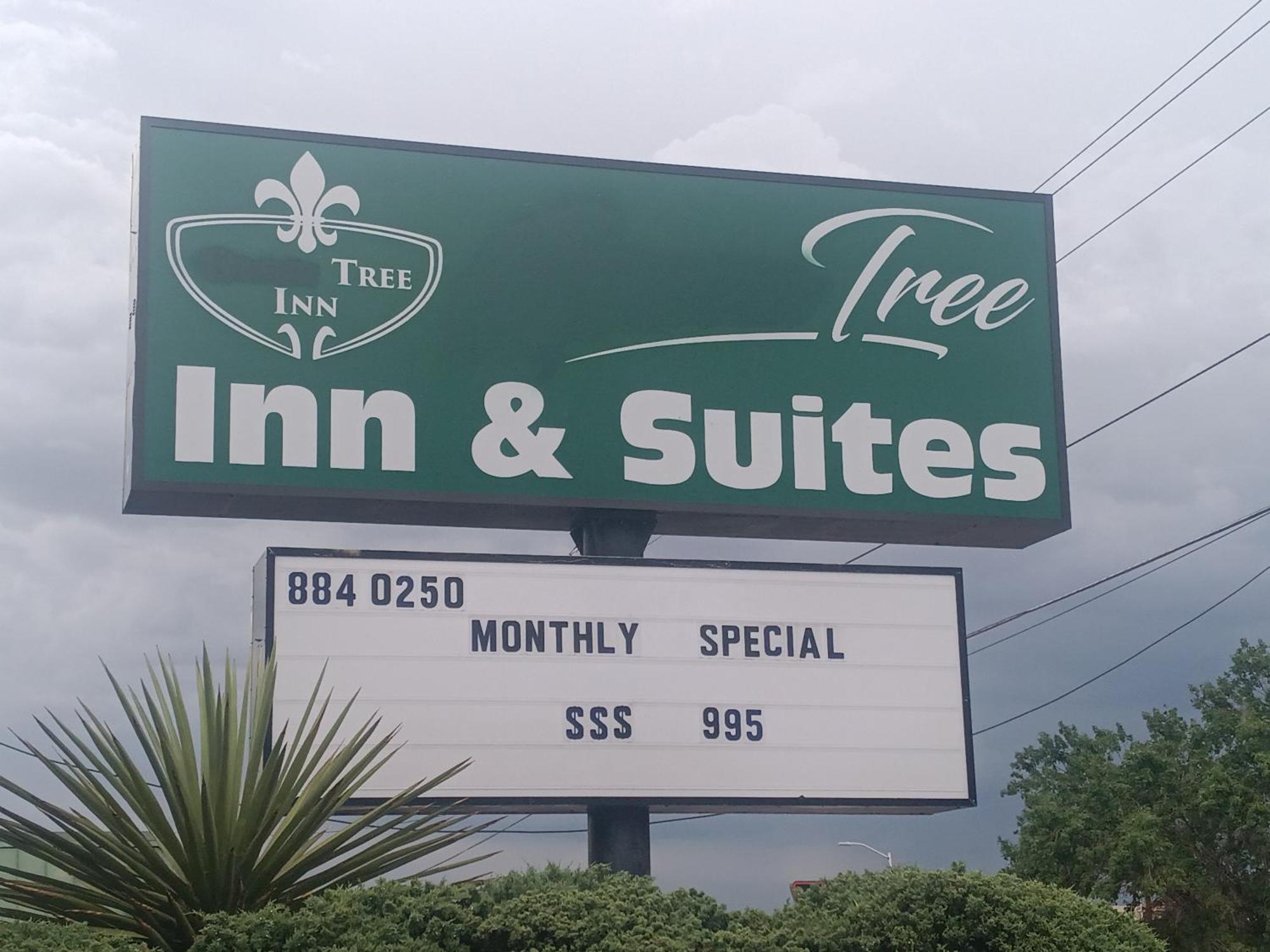 Tree Inn & Suites 앨버커키 외부 사진